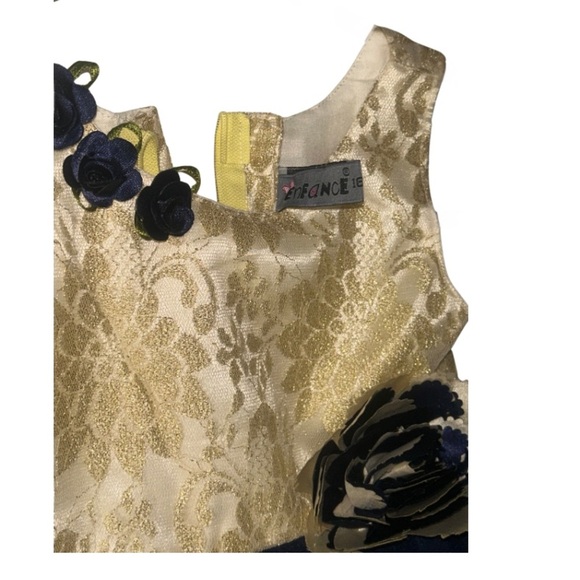 Gold & Navy Blue Lace Party Dress – Size 16 (Baby/Toddler) - Picture 6 of 6